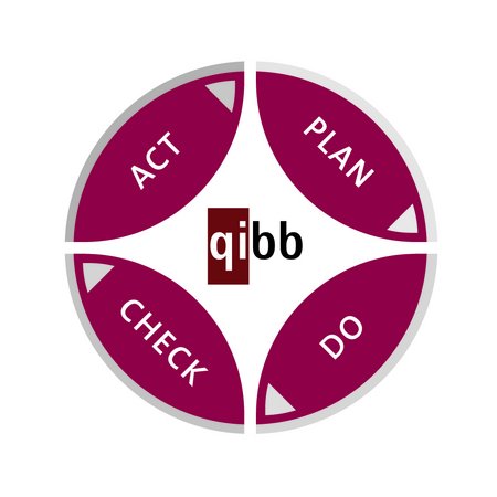 QIBB, Peer Review, Regelkreis, Plan, Do, Check, Act